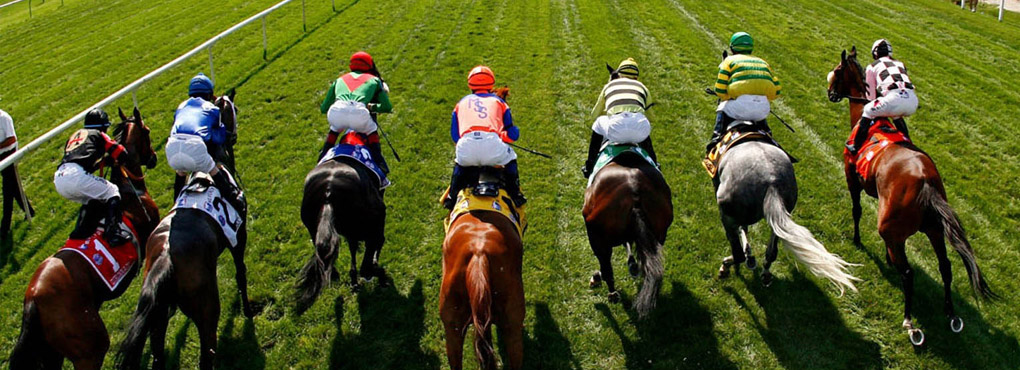 Days out in Somerset